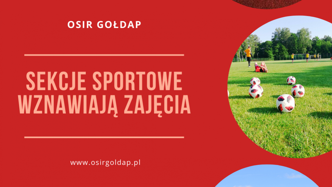 sekcje sportowe wznawiają zajęcia
