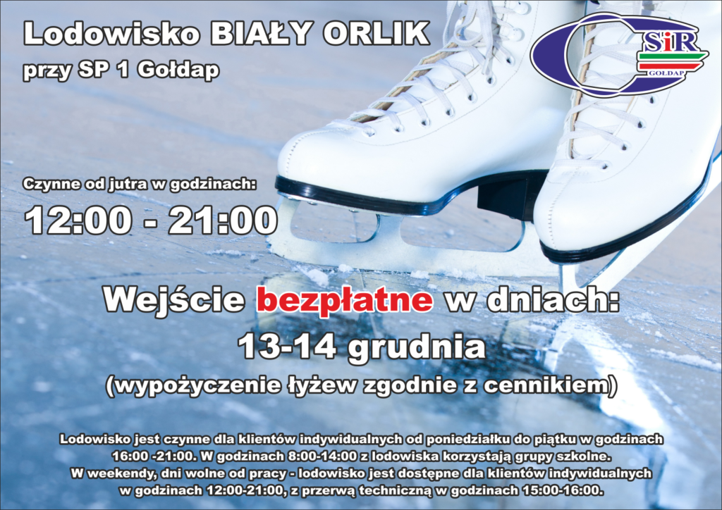 lodowisko plakat